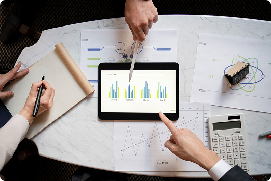 PORTFOLIO MANAGEMENT